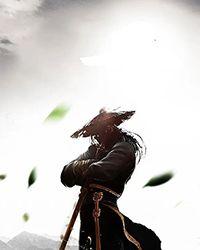 来一只狐狸么免费阅读